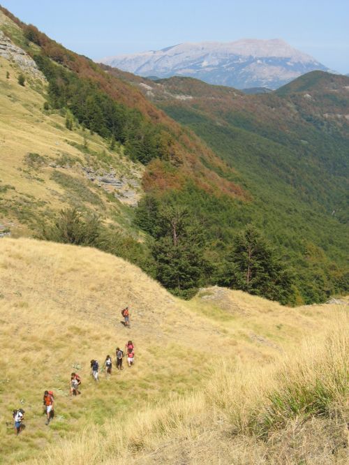 trekking con i muli-11.JPG